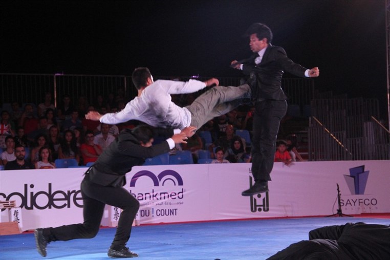 Martial Arts Festival